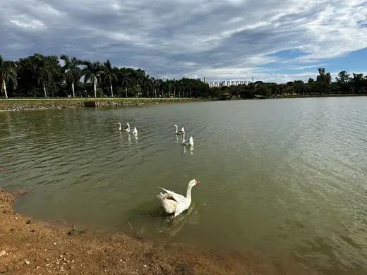 Espaços e estrutura da Fazenda Pingo D'Água