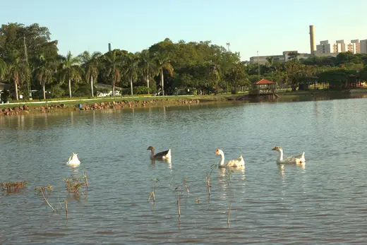 Natureza e paisagens da Fazenda Pingo D'Água