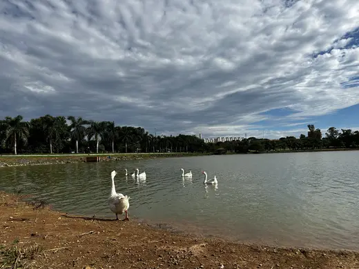 Natureza e paisagens da Fazenda Pingo D'Água