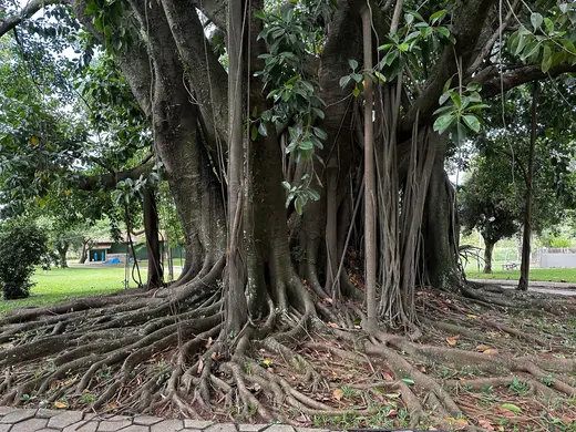 Natureza e paisagens da Fazenda Pingo D'Água