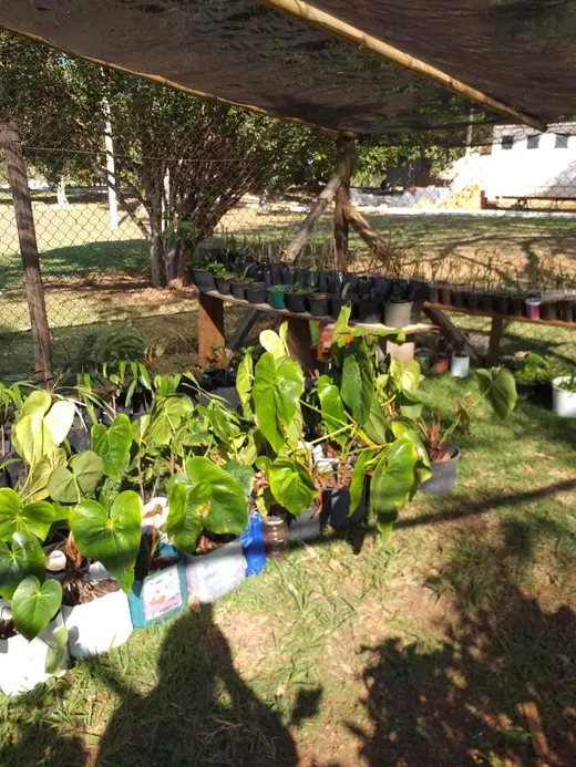Natureza e paisagens da Fazenda Pingo D'Água