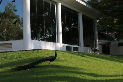 Natureza e paisagens da Fazenda Pingo D'Água