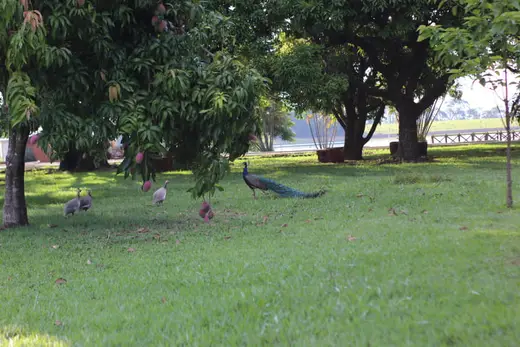 Natureza e paisagens da Fazenda Pingo D'Água