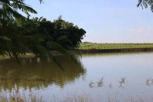 Natureza e paisagens da Fazenda Pingo D'Água