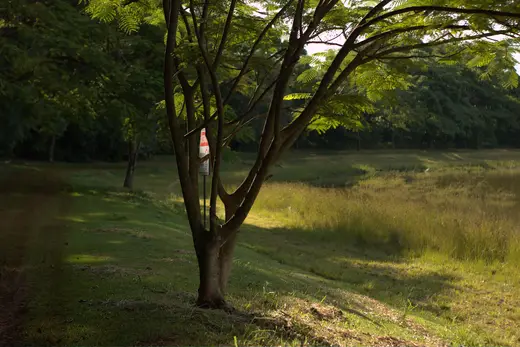 Natureza e paisagens da Fazenda Pingo D'Água