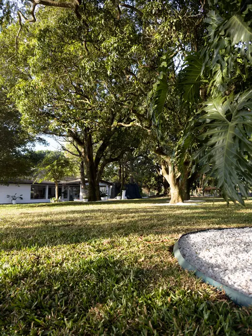 Natureza e paisagens da Fazenda Pingo D'Água