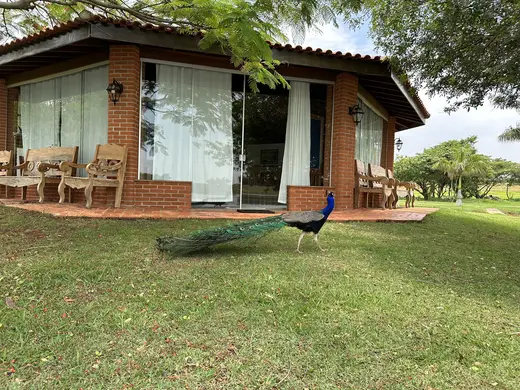 Natureza e paisagens da Fazenda Pingo D'Água
