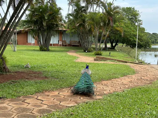 Natureza e paisagens da Fazenda Pingo D'Água