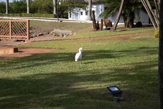 Natureza e paisagens da Fazenda Pingo D'Água