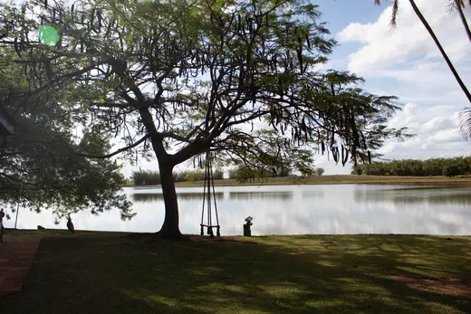 Natureza e paisagens da Fazenda Pingo D'Água