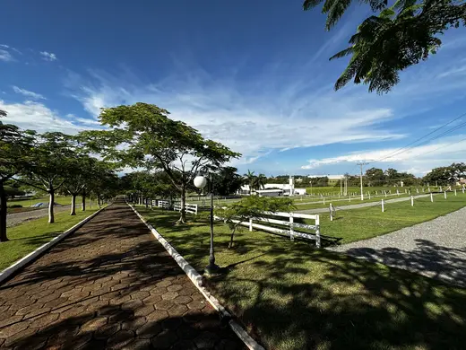 Alameda de piso intertravado ladeada por árvores e cercas brancas