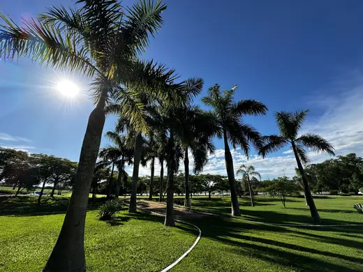 Natureza e paisagens da Fazenda Pingo D'Água