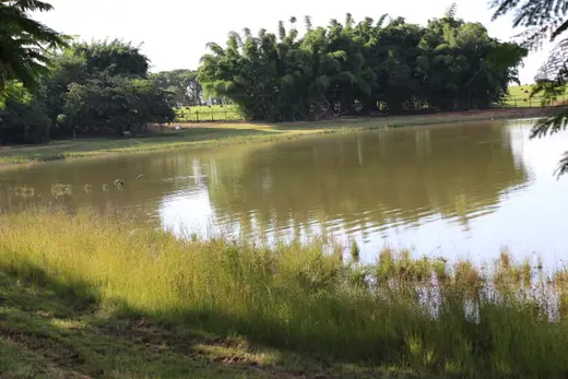 Natureza e paisagens da Fazenda Pingo D'Água