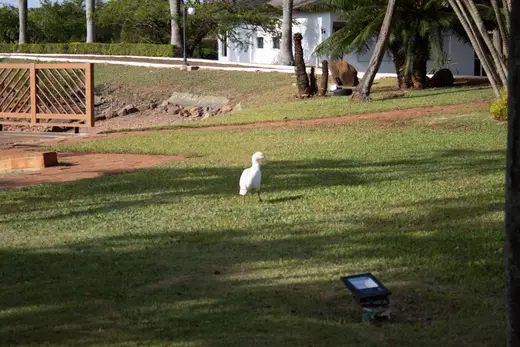 Eventos e celebrações na Fazenda Pingo D'Água