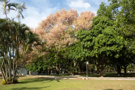 Eventos e celebrações na Fazenda Pingo D'Água