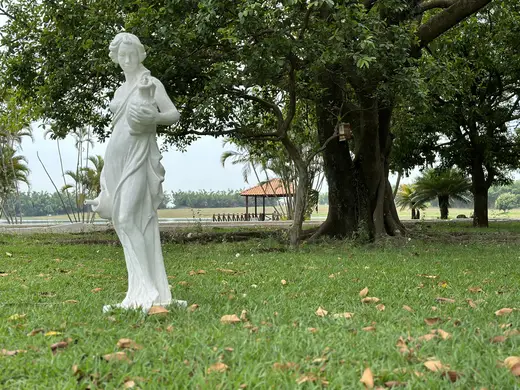 Eventos e celebrações na Fazenda Pingo D'Água