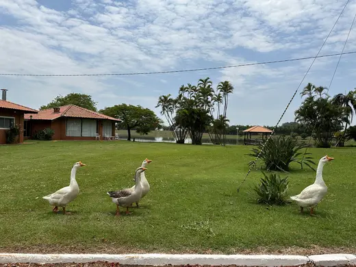 Eventos e celebrações na Fazenda Pingo D'Água