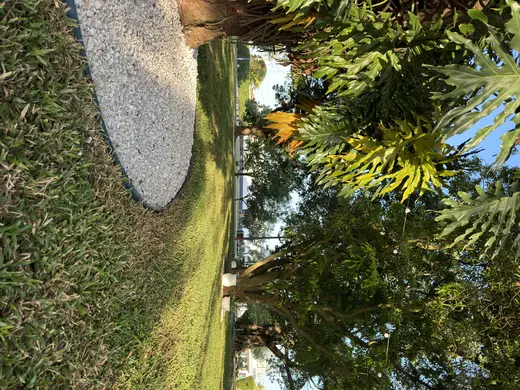 Eventos e celebrações na Fazenda Pingo D'Água